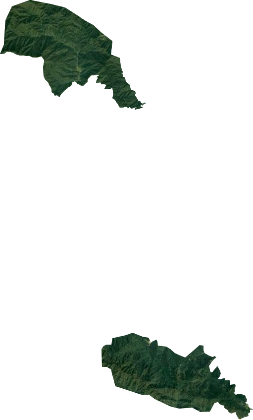标湖林场卫星图