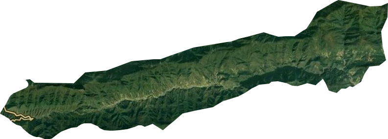 源茂林场卫星图