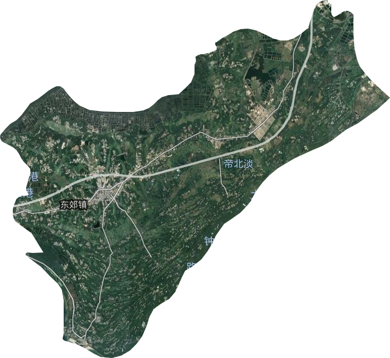 东郊镇卫星图