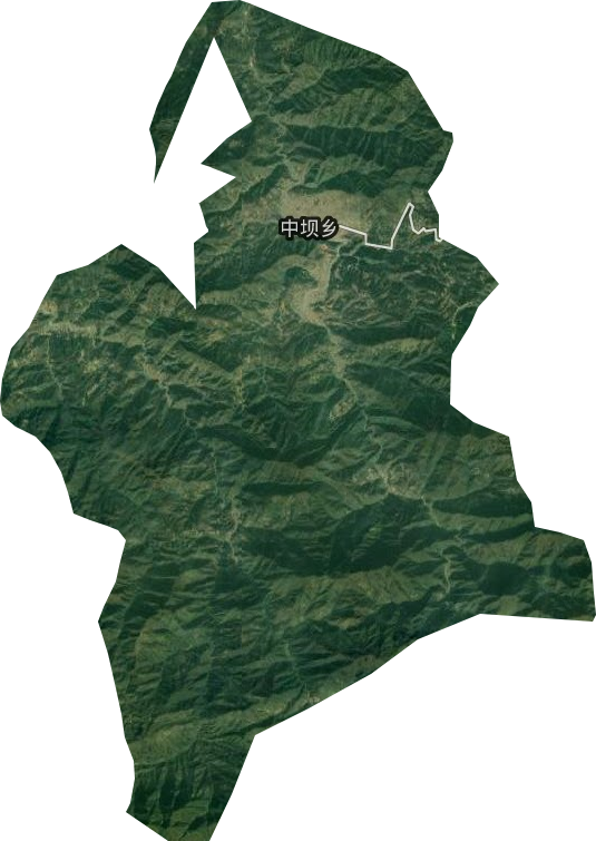 中坝乡卫星图