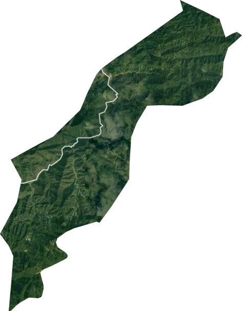 国营杨岔山林场卫星图