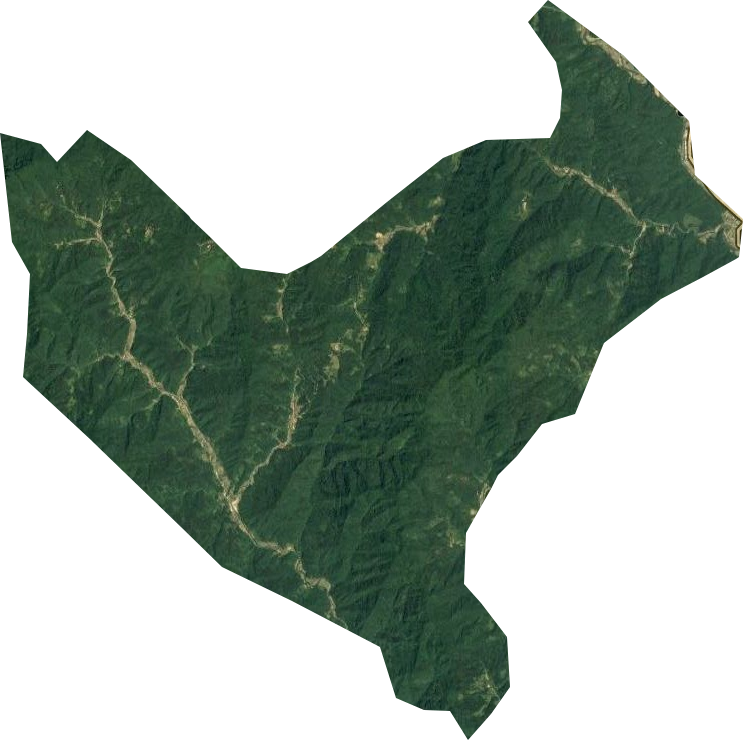 国营九口山林场卫星图