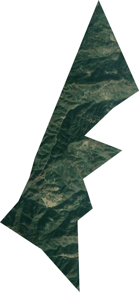 国营毛家山林场卫星图