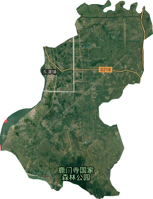 东津镇卫星图