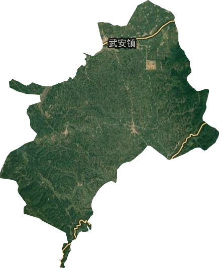 武安镇卫星图