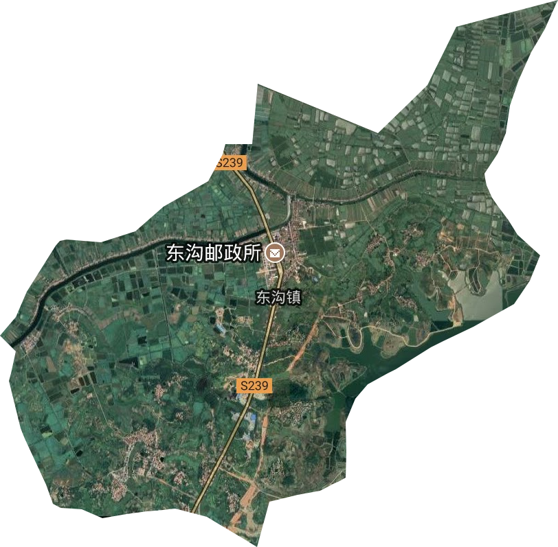 东沟镇卫星图