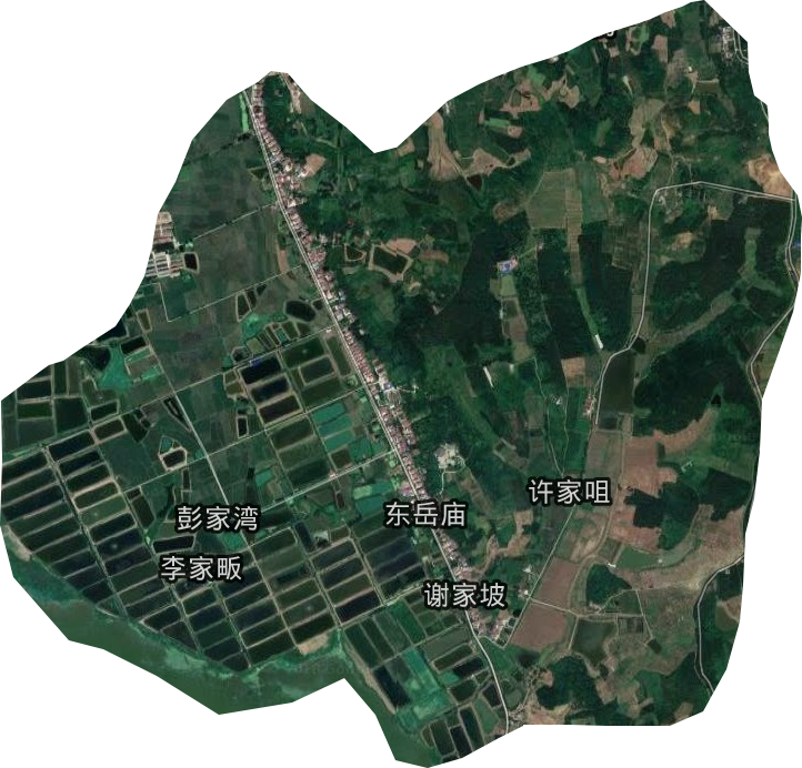 东岳种畜场卫星图