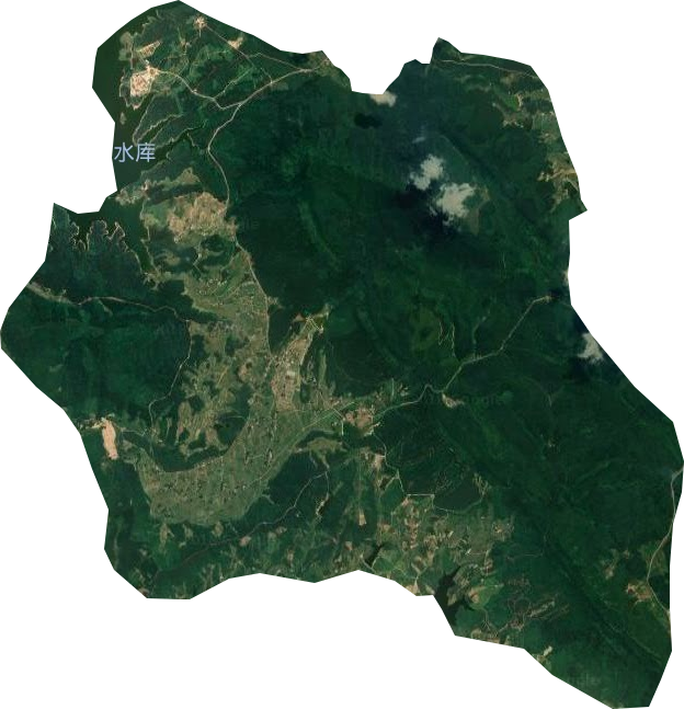大口林场卫星图