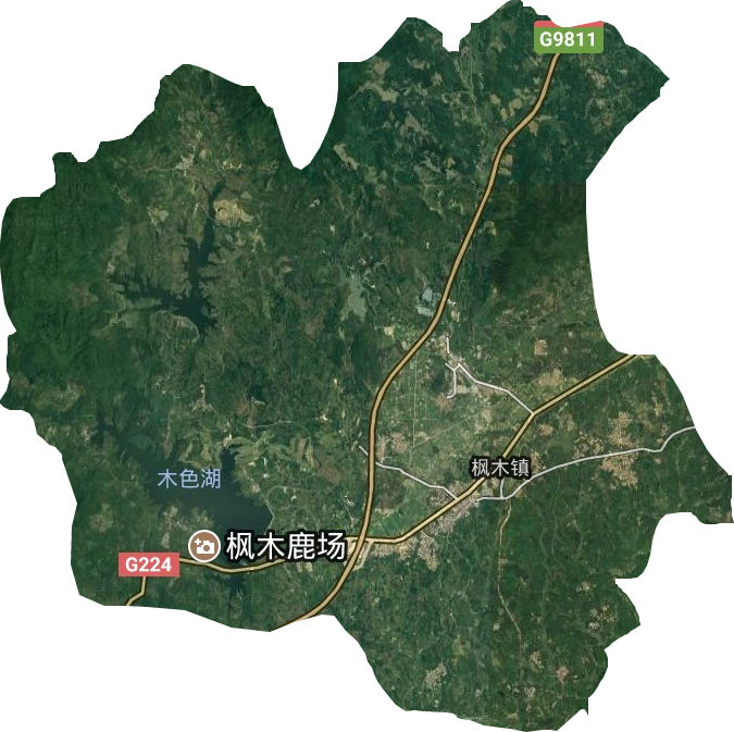 枫木镇卫星图