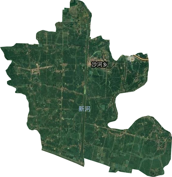 沙河乡卫星图