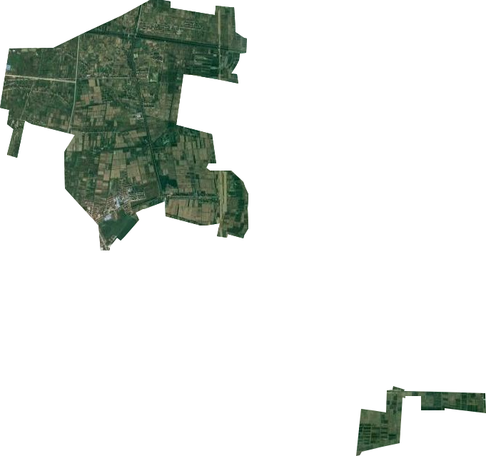 岑河原种场卫星图