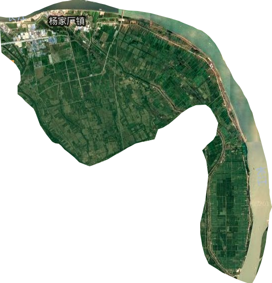杨家厂镇卫星图