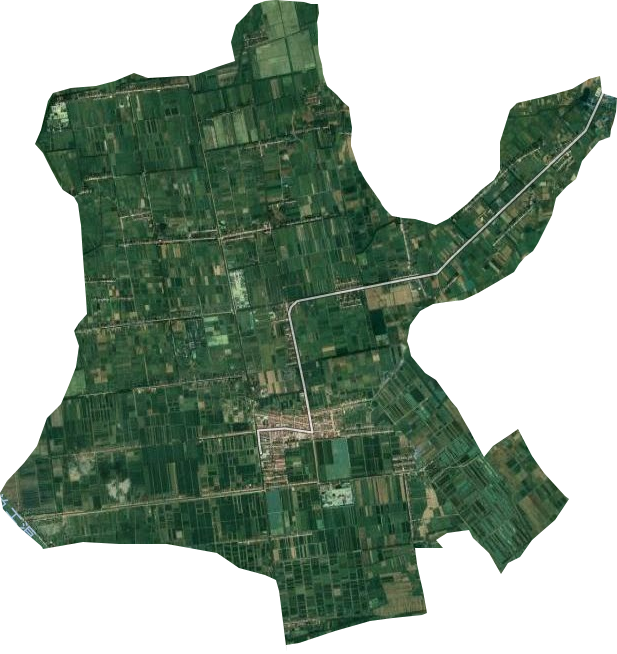 荒湖农场管理区卫星图