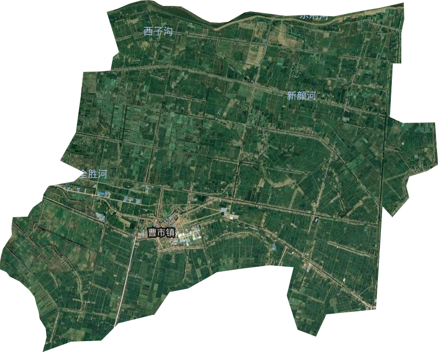 曹市镇卫星图
