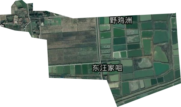 黄湖农场卫星图