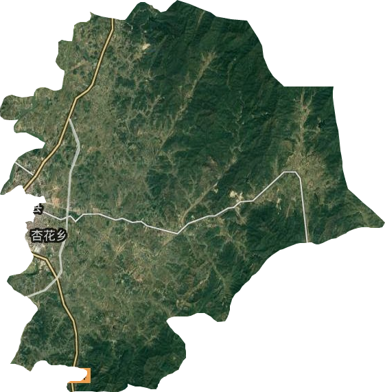 杏花乡卫星图