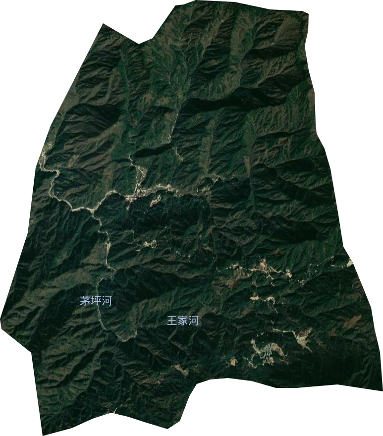 桃花冲林场卫星图