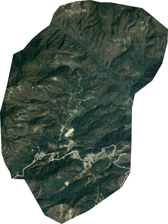 吴家山林场卫星图
