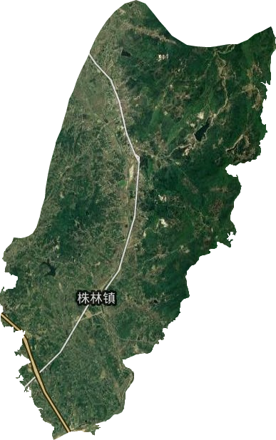 株林镇卫星图