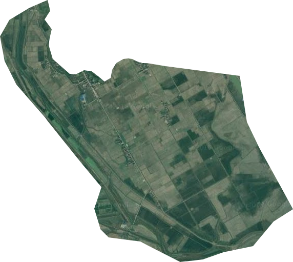 黄梅县农业开发总公司卫星图