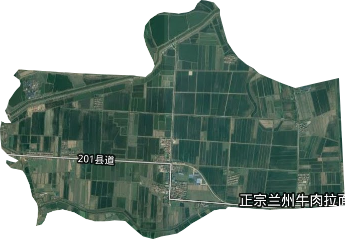 芦柴湖办事处卫星图