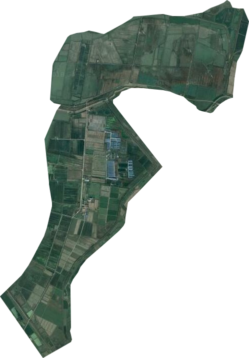 青泥湖办事处卫星图