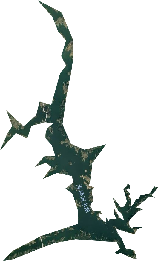 麻城浮桥河水库卫星图