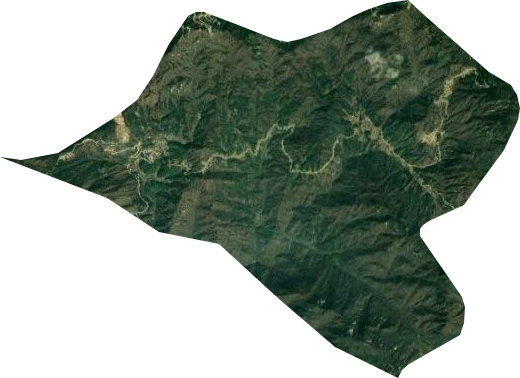 狮子峰林场卫星图