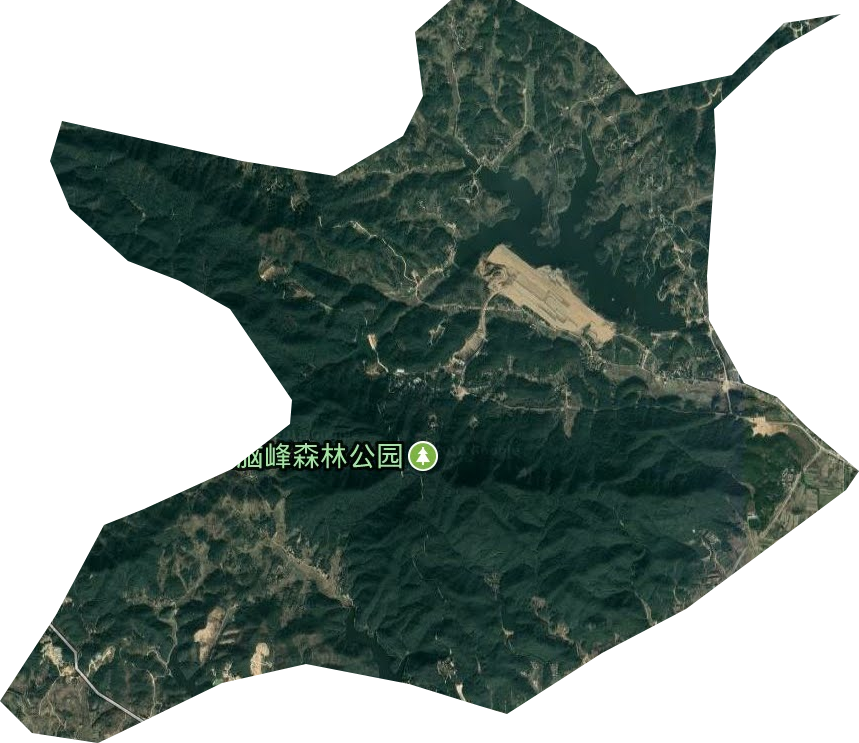 五脑山林场卫星图