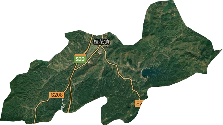 桂花镇卫星图