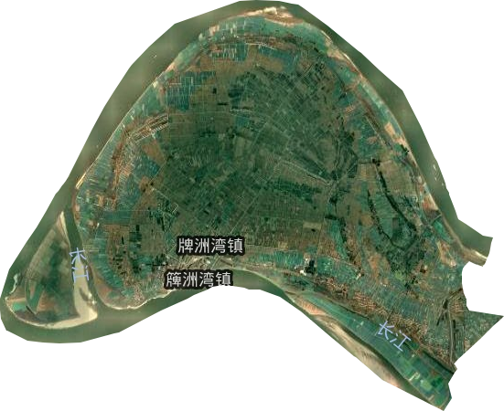 牌洲湾镇卫星图