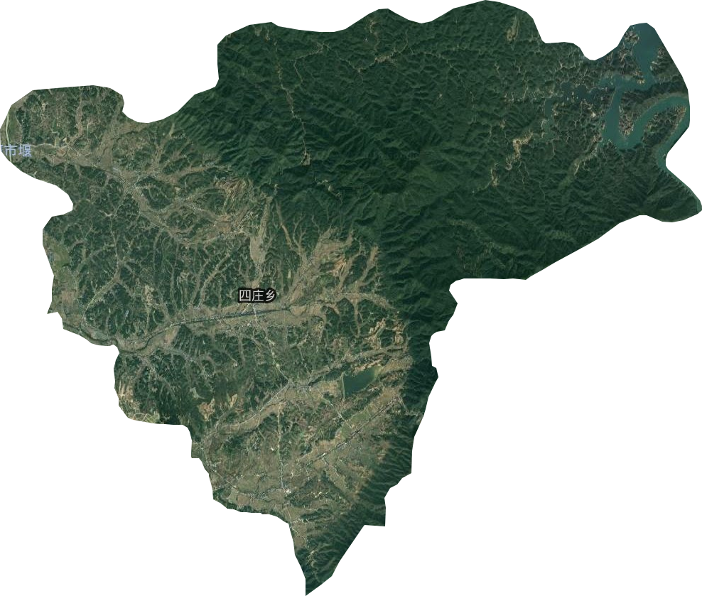 四庄乡卫星图