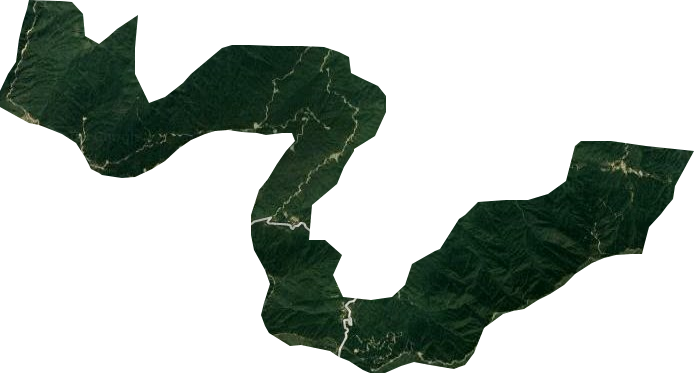 黄龙林场卫星图