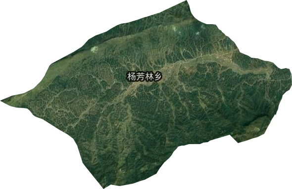杨芳林乡卫星图