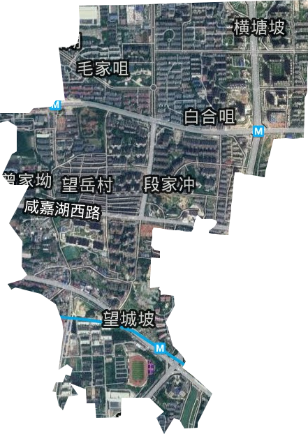 咸嘉湖街道卫星图
