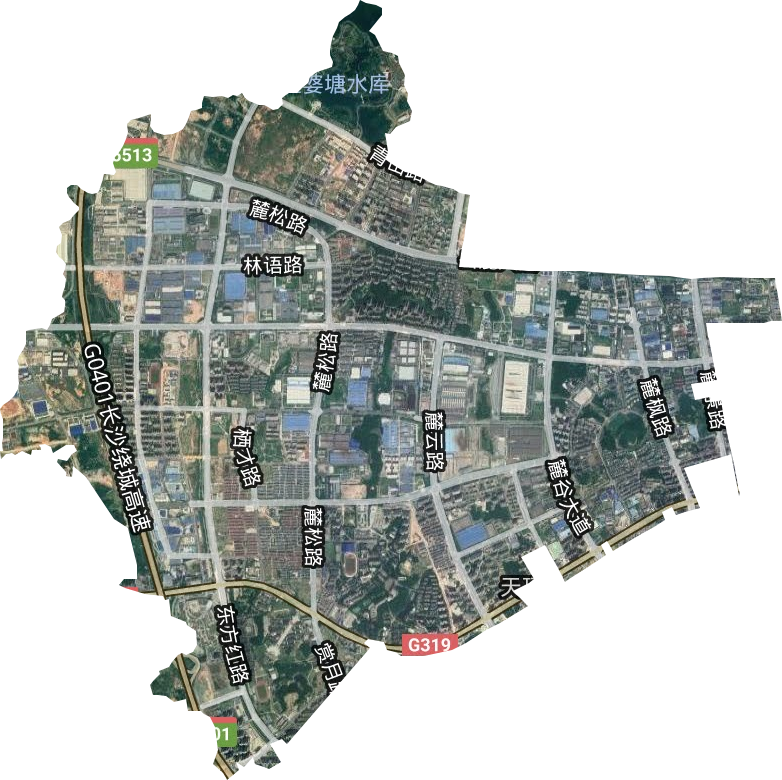 麓谷街道卫星图