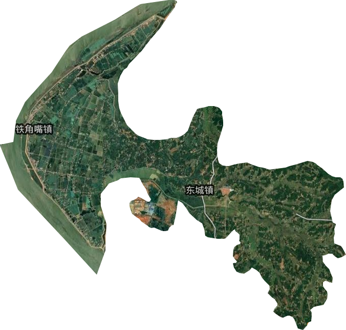 东城镇卫星图