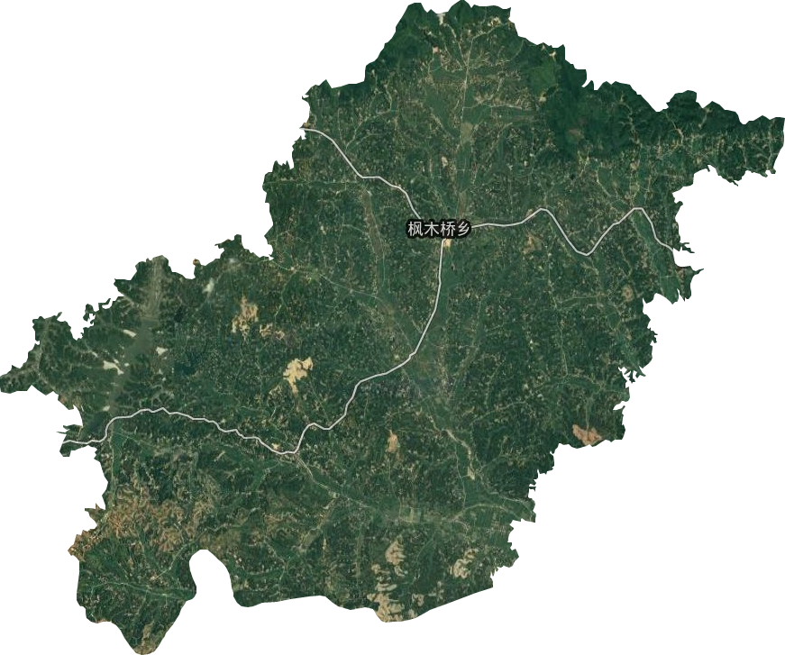 枫木桥乡卫星图
