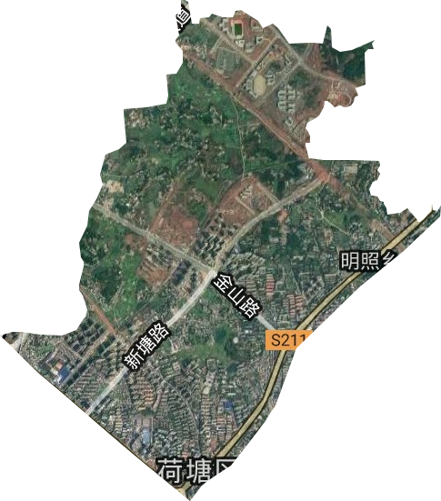 桂花街道卫星图