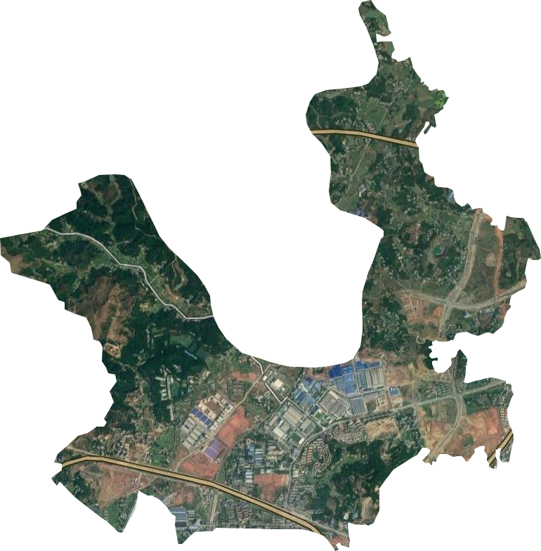 井龙街道卫星图