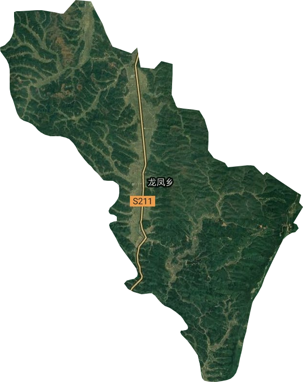 龙凤乡卫星图