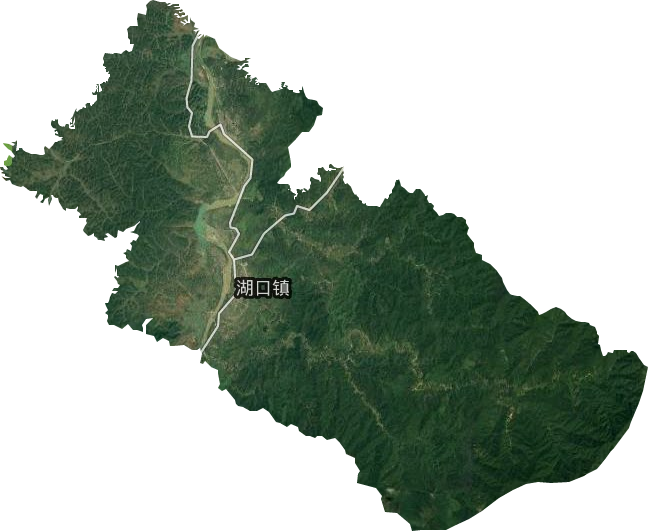 湖口镇卫星图