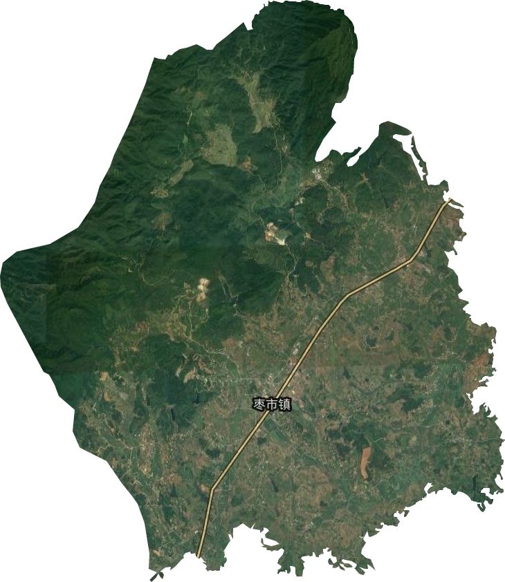 枣市镇卫星图