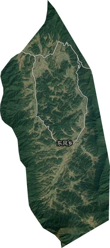 东风乡卫星图