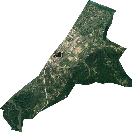 东山街道卫星图
