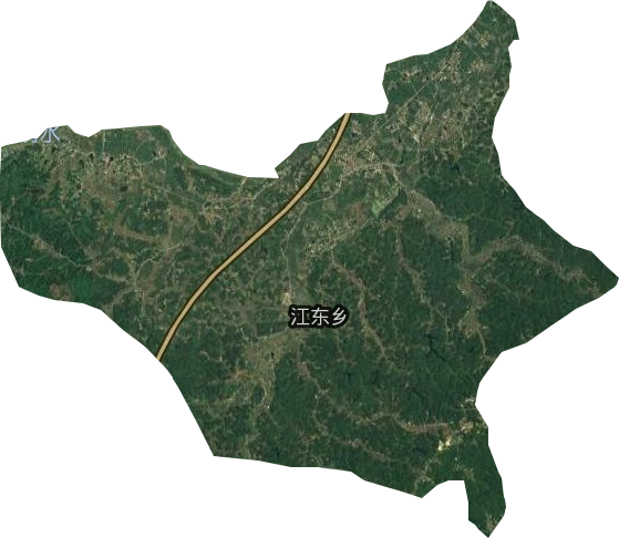 江东乡卫星图