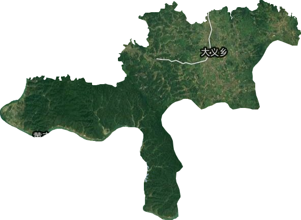 大义乡卫星图