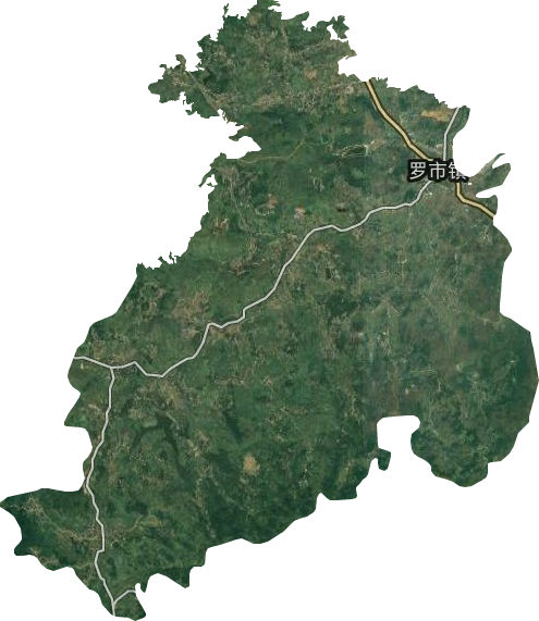 罗市镇卫星图