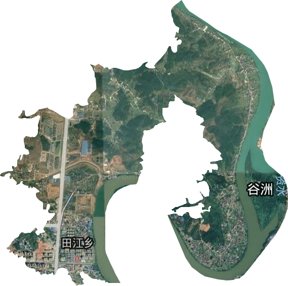 田江乡卫星图