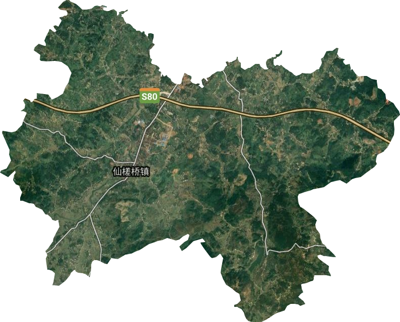 仙槎桥镇卫星图